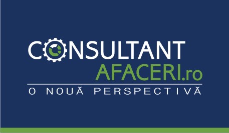 consultanta in afaceri si management
