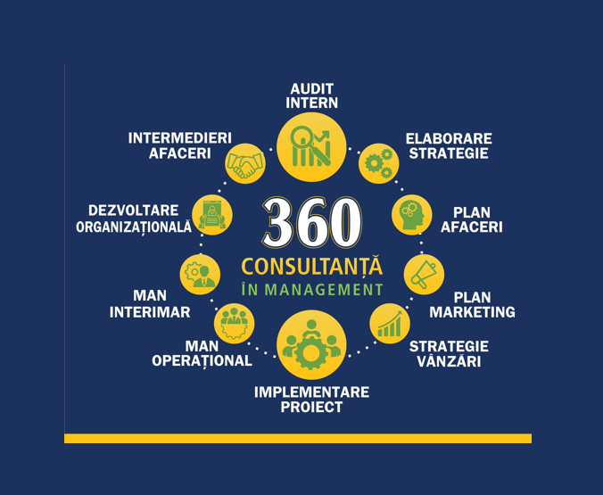 consultanta in management si afaceri