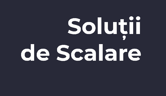 consultanta in management si afaceri